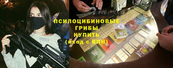 mdma Богородицк